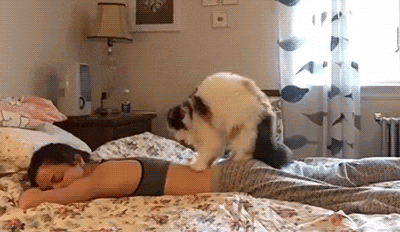 масажні процедури Івано-Франківськ масажні процедури Івано-Франківськ